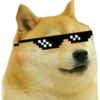 Perros Memes 25
