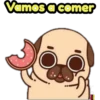 Perritos Pug  3 24