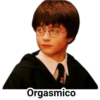 Harry Potter 23