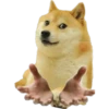 Perros Memes 27
