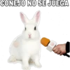 CONEJO NO SE JUEGA