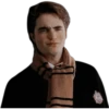 Harry Potter 25