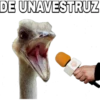 DE UNAVESTRUZ