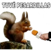 TUVÉ PESARDILLAS