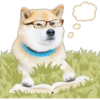 Sha