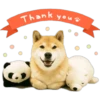 Thank you...