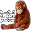 LOS CHISYOSOS 4 29