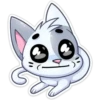 ️Gatito White 27
