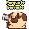 Perritos Pug  3 27