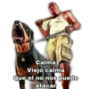 Grand Theft Auto 27