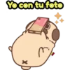 Perritos Pug  3 30