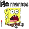 Bob Esponja 29