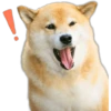 ︎Perro disfa2︎ 24