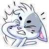 ️Gatito White 29