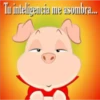 Tu inteligencia me asombra...