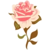 Pink Flowers @ykinanah 6