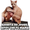 AHORITA NO Joven.
ESTOY CON TU MAMA