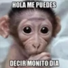 HOLA ME PUEDES
DECIR MONITO DIA