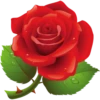 Flores rojas 6