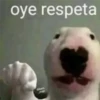 oye respeta