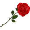 Flores rojas 8