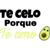 Para Mi Novio 7
