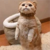 Gatitos que curan la depresión 9