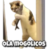 OLA MOGOLICOS