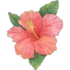 animales y plantas 15