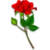 Flores rojas 10