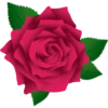 Pink Flowers @ykinanah 9