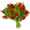 Flores rojas 12