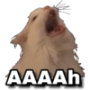 AAAAh
↓
