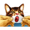 彡Neko carteles彡 7