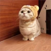 Gatitos que curan la depresión 10