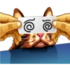 彡Neko carteles彡 8