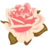 Pink Flowers @ykinanah 10