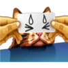 彡Neko carteles彡 9