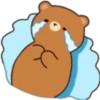︎Osito tierno ︎ 11