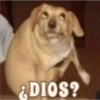 & DIOS?
