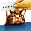 彡Neko carteles彡 11