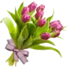 Pink Flowers @ykinanah 12