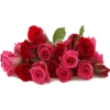 Flores rojas 14