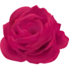 Pink Flowers @ykinanah 15