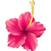 animales y plantas 23