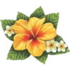 animales y plantas 24
