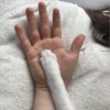 Gatitos que curan la depresión 17