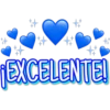 ¡EXCELENTE!