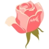 Pink Flowers @ykinanah 17