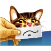 彡Neko carteles彡 18